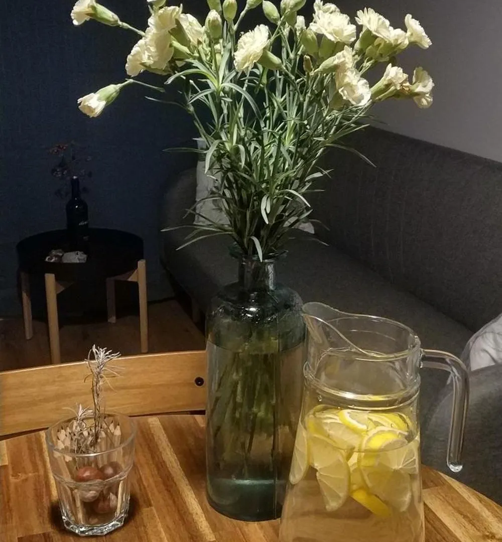 Calm And Cozy Apartment Krakow